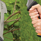 Fiskars 29" Machete Axe | $28 | Amazon